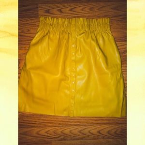 Amber Zara skirt
